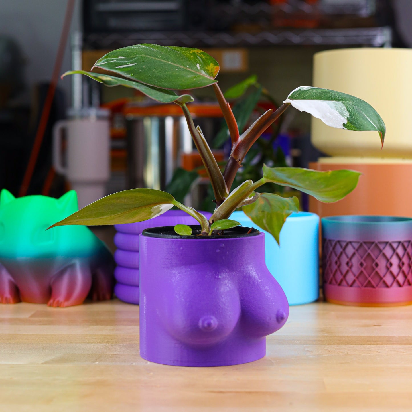 Boob Pot